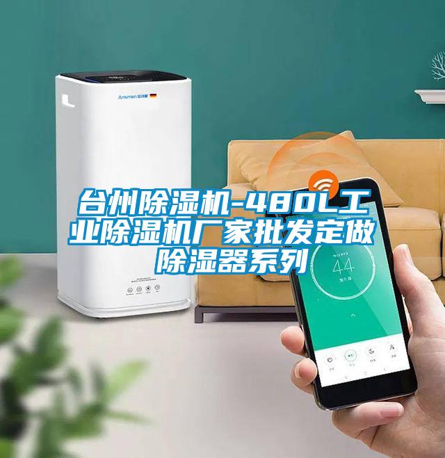 臺(tái)州除濕機(jī)-480L工業(yè)除濕機(jī)廠家批發(fā)定做 除濕器系列