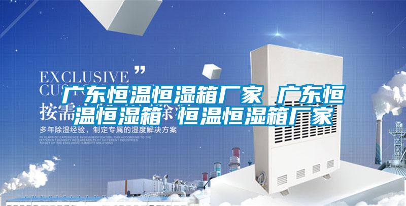 廣東恒溫恒濕箱廠家 廣東恒溫恒濕箱 恒溫恒濕箱廠家