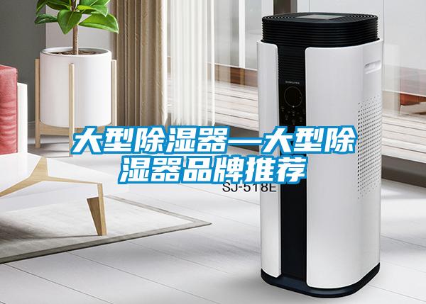 大型除濕器—大型除濕器品牌推薦