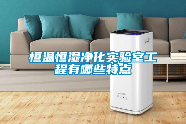 恒溫恒濕凈化實(shí)驗(yàn)室工程有哪些特點(diǎn)