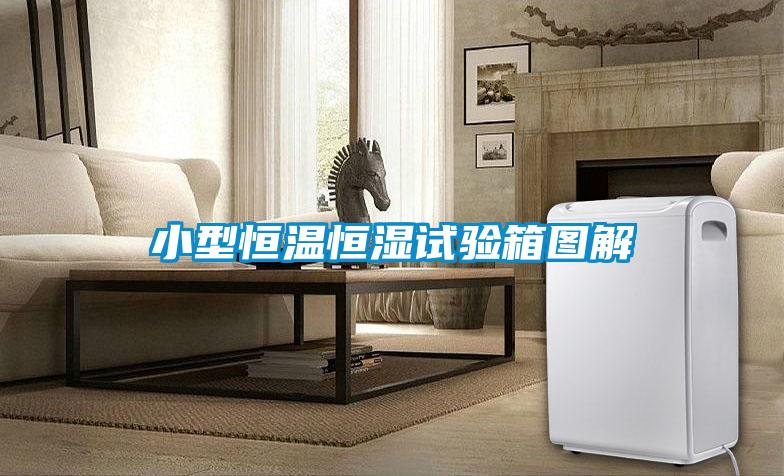 小型恒溫恒濕試驗箱圖解