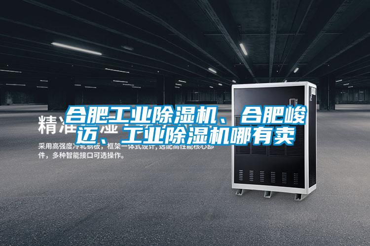 合肥工業除濕機、合肥峻邁、工業除濕機哪有賣