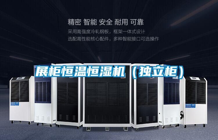 展柜恒溫恒濕機(獨立柜)