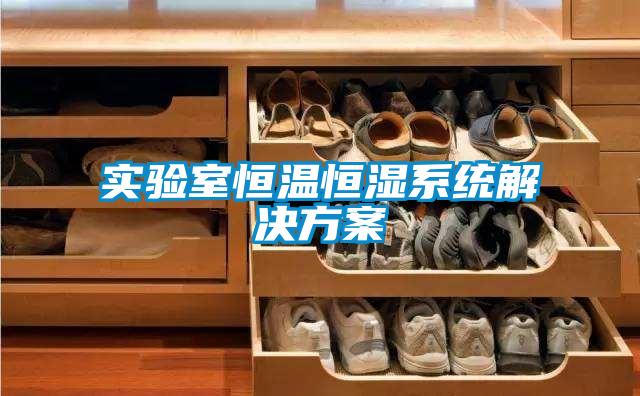 實驗室恒溫恒濕系統解決方案