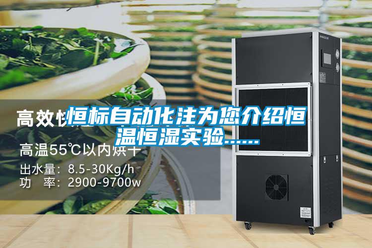 恒標自動化注為您介紹恒溫恒濕實驗......