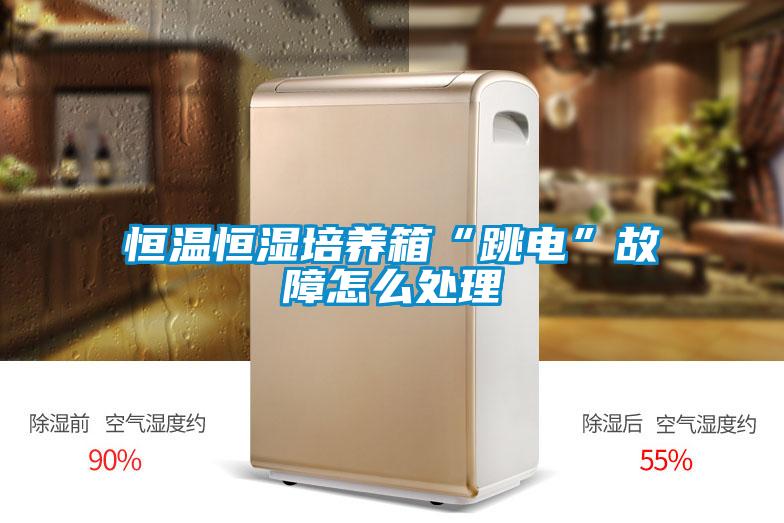 恒溫恒濕培養箱“跳電”故障怎么處理