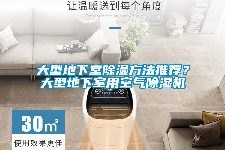 大型地下室除濕方法推薦？大型地下室用空氣除濕機