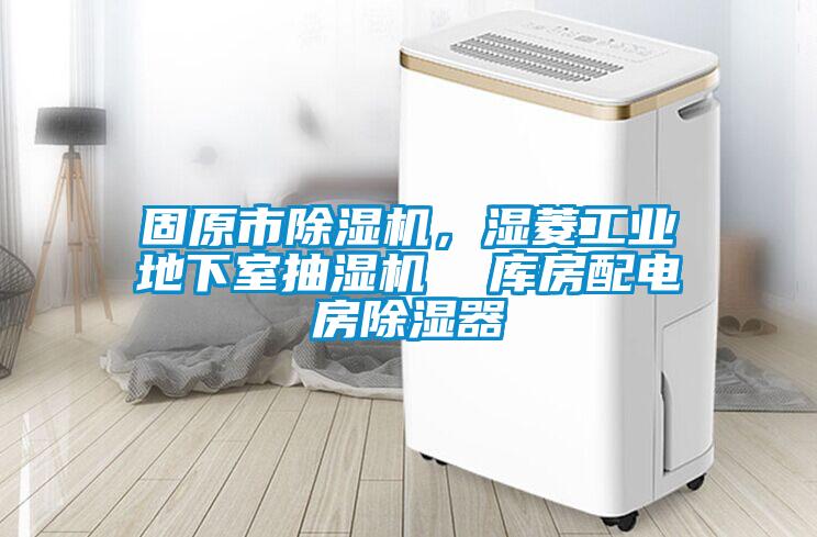 固原市除濕機(jī)，濕菱工業(yè)地下室抽濕機(jī)  庫(kù)房配電房除濕器
