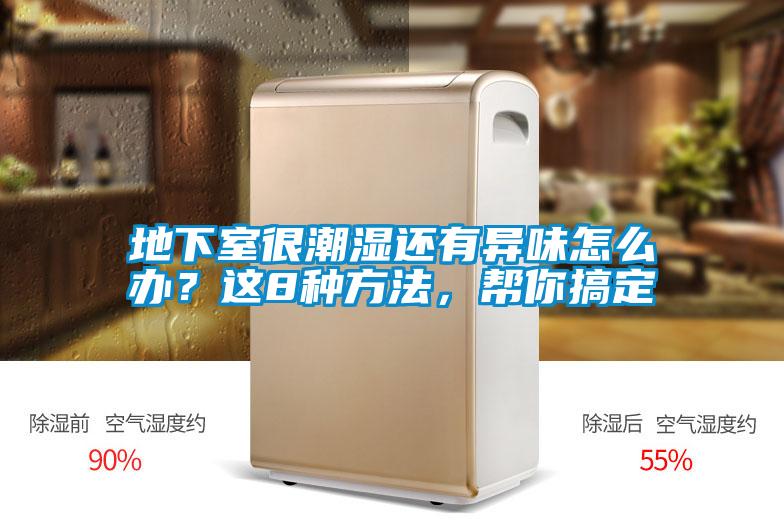 地下室很潮濕還有異味怎么辦?這8種方法,幫你搞定