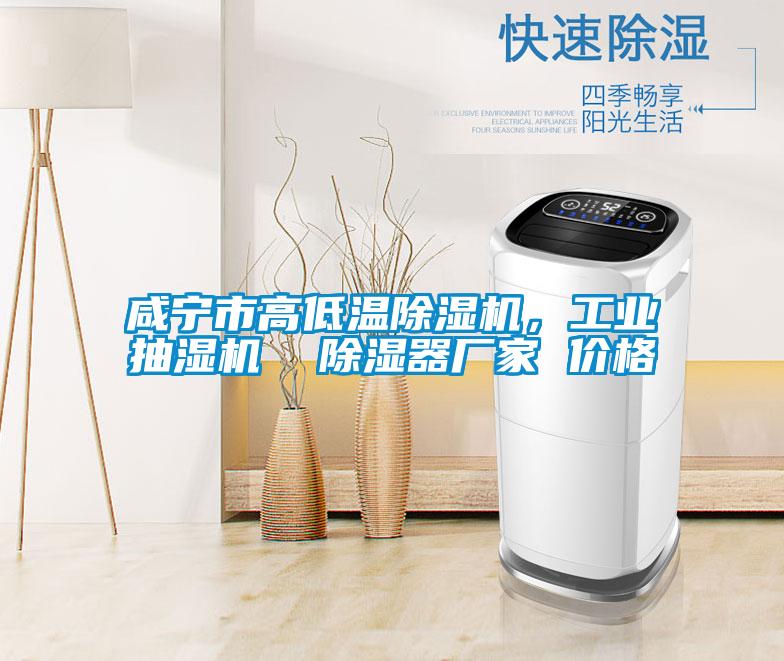 咸寧市高低溫除濕機,工業(yè)抽濕機 除濕器廠家 價格