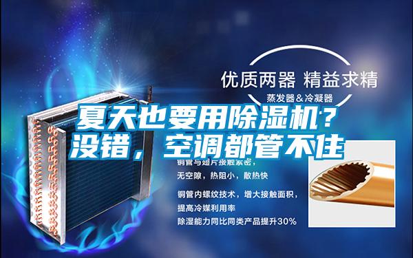 夏天也要用除濕機?沒錯,空調(diào)都管不住