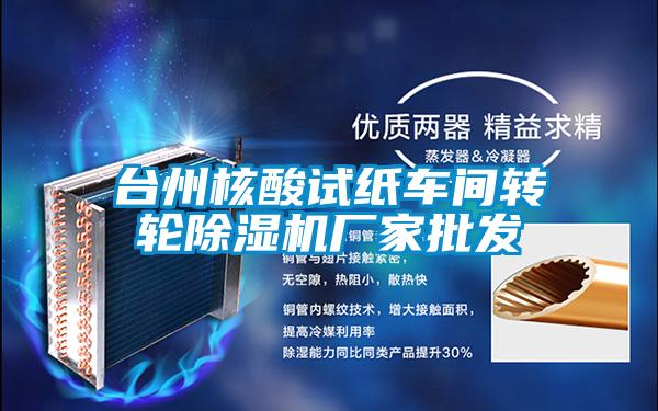 臺(tái)州核酸試紙車(chē)間轉(zhuǎn)輪除濕機(jī)廠家批發(fā)