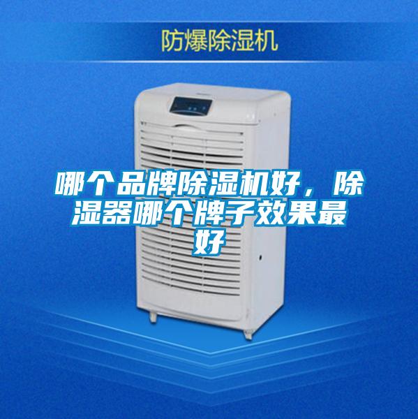 哪個品牌除濕機好,除濕器哪個牌子效果最好