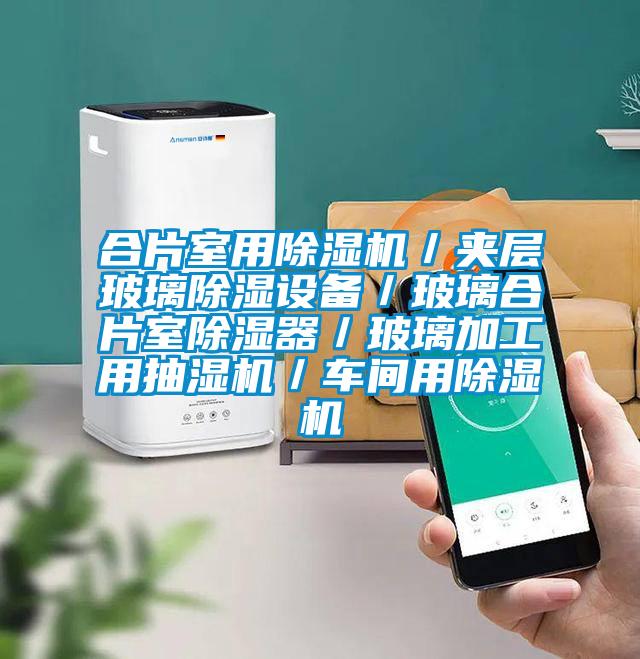 合片室用除濕機(jī)／夾層玻璃除濕設(shè)備／玻璃合片室除濕器／玻璃加工用抽濕機(jī)／車(chē)間用除濕機(jī)