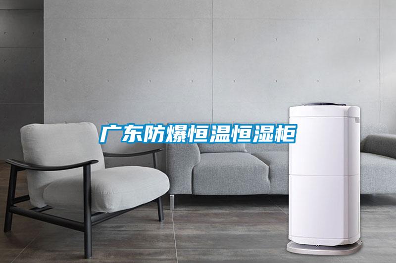 廣東防爆恒溫恒濕柜