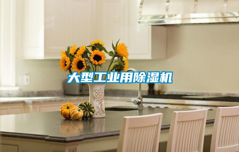 大型工業用除濕機