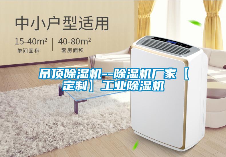 吊頂除濕機--除濕機廠家【定制】工業(yè)除濕機