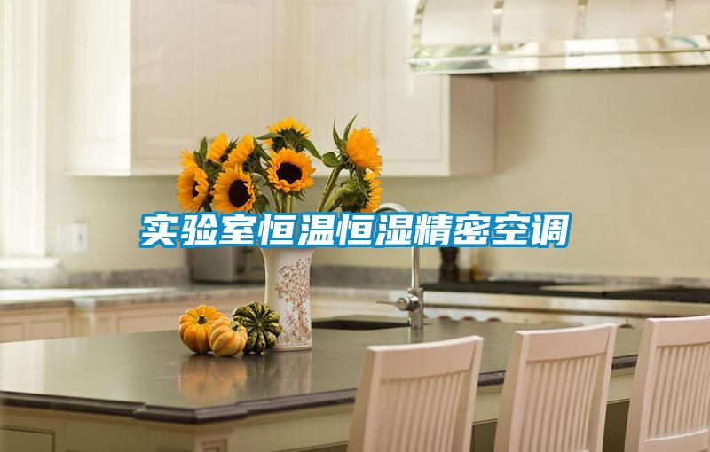 實驗室恒溫恒濕精密空調