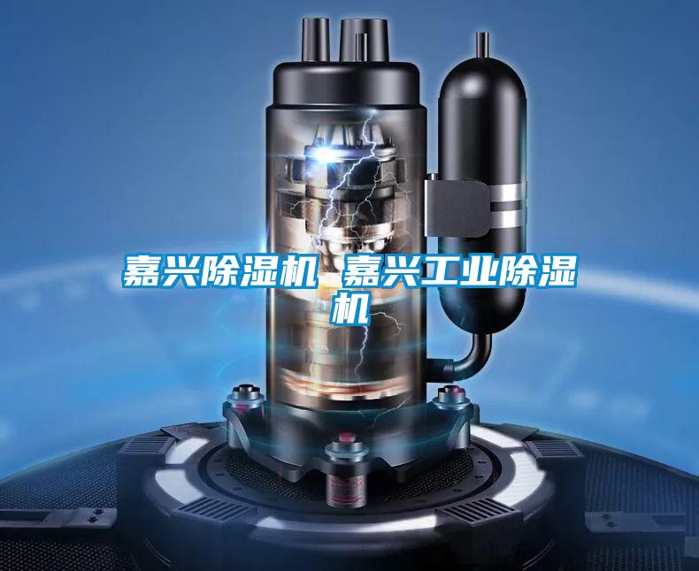 嘉興除濕機(jī) 嘉興工業(yè)除濕機(jī)