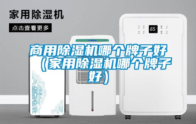 商用除濕機哪個牌子好(家用除濕機哪個牌子好)