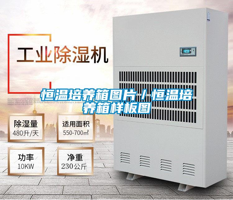 恒溫培養(yǎng)箱圖片/恒溫培養(yǎng)箱樣板圖