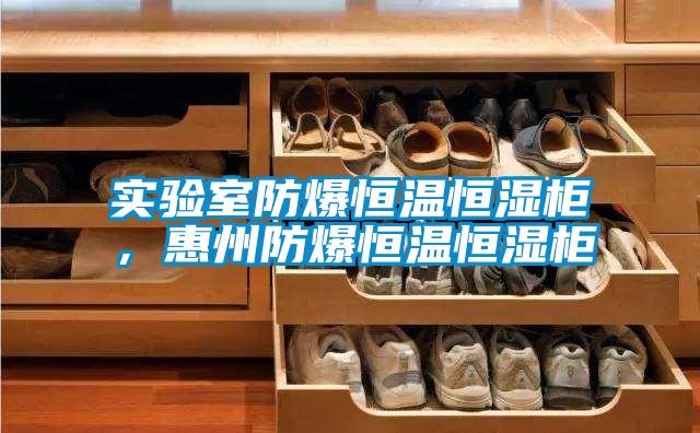 實驗室防爆恒溫恒濕柜，惠州防爆恒溫恒濕柜