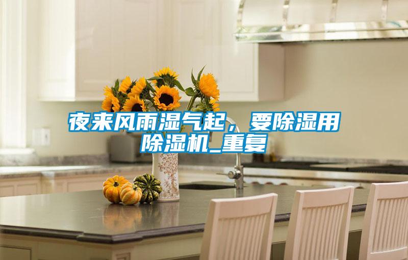 夜來風雨濕氣起，要除濕用除濕機_重復