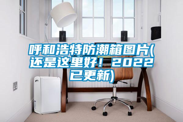 呼和浩特防潮箱圖片(還是這里好!2022已更新)