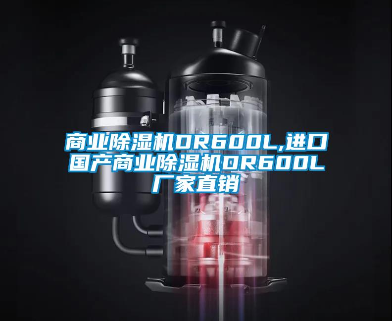 商業(yè)除濕機(jī)DR600L,進(jìn)口國產(chǎn)商業(yè)除濕機(jī)DR600L廠家直銷