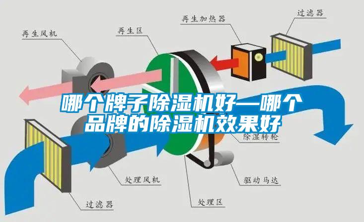 哪個牌子除濕機好—哪個品牌的除濕機效果好