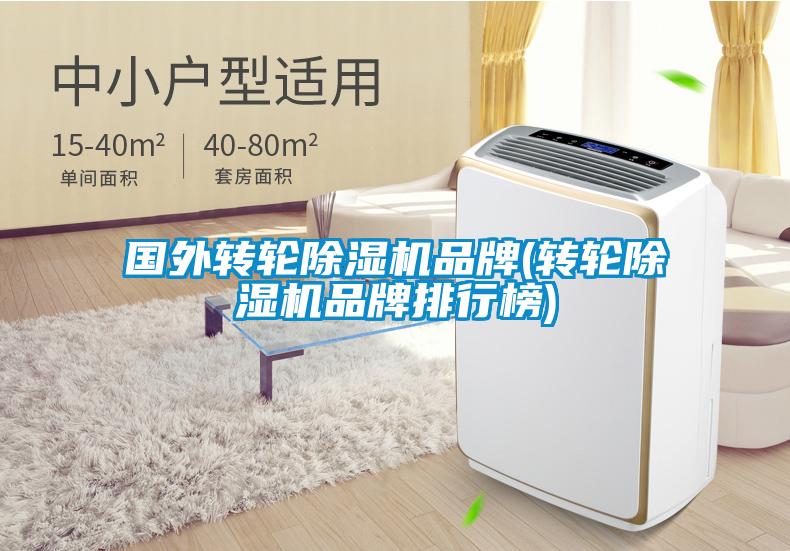 國(guó)外轉(zhuǎn)輪除濕機(jī)品牌(轉(zhuǎn)輪除濕機(jī)品牌排行榜)
