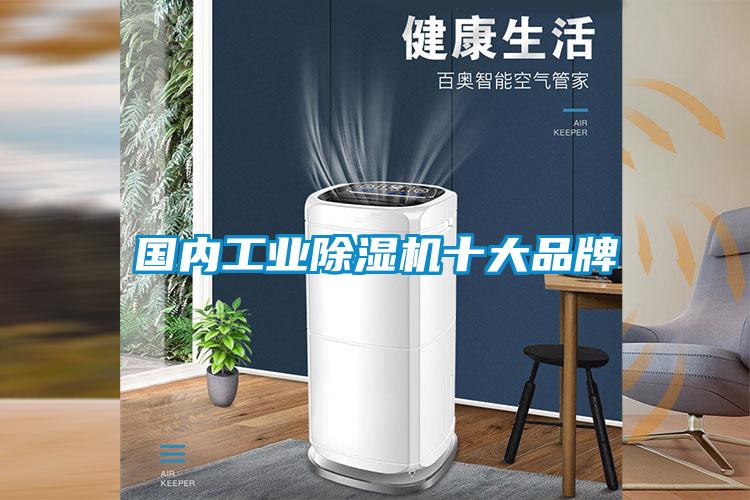 國(guó)內(nèi)工業(yè)除濕機(jī)十大品牌