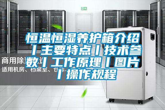 恒溫恒濕養(yǎng)護箱介紹丨主要特點丨技術參數丨工作原理丨圖片丨操作規(guī)程