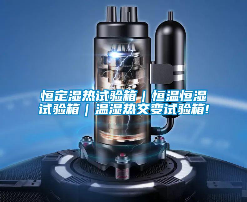 恒定濕熱試驗箱|恒溫恒濕試驗箱|溫濕熱交變試驗箱!