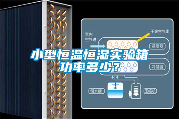 小型恒溫恒濕實驗箱功率多少?