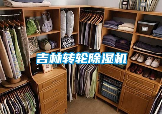 吉林轉輪除濕機