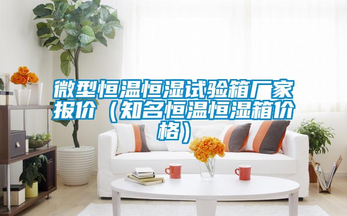 微型恒溫恒濕試驗箱廠家報價(知名恒溫恒濕箱價格)