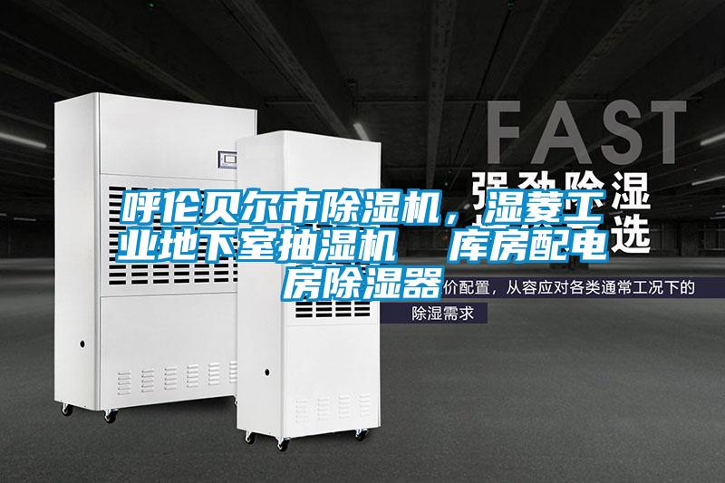 呼倫貝爾市除濕機(jī),濕菱工業(yè)地下室抽濕機(jī) 庫房配電房除濕器