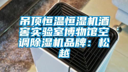 吊頂恒溫恒濕機酒窖實驗室博物館空調(diào)除濕機品牌:松越