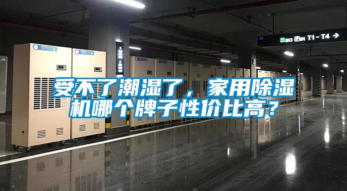 受不了潮濕了，家用除濕機哪個牌子性價比高？