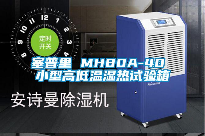 塞普里 MH80A-40 小型高低溫濕熱試驗箱