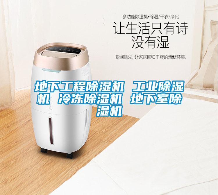 地下工程除濕機 工業(yè)除濕機 冷凍除濕機 地下室除濕機