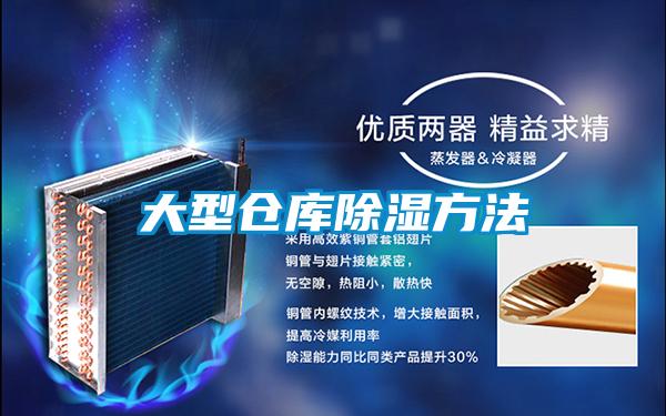 大型倉(cāng)庫(kù)除濕方法