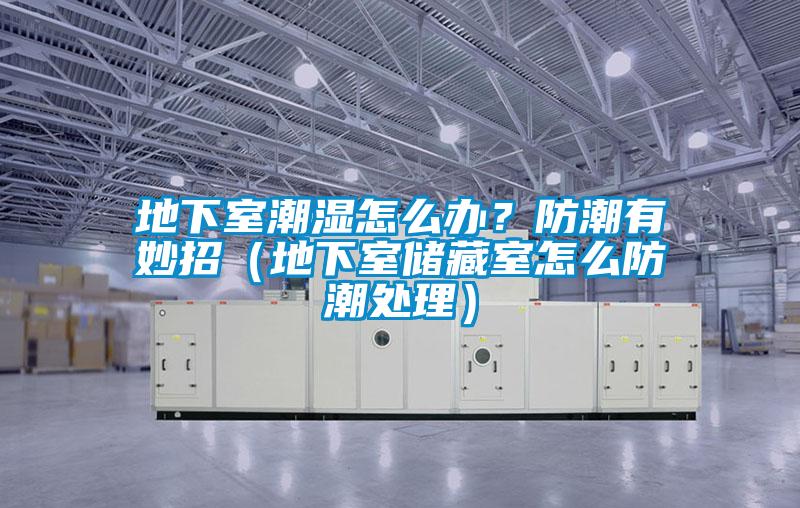 地下室潮濕怎么辦？防潮有妙招（地下室儲(chǔ)藏室怎么防潮處理）