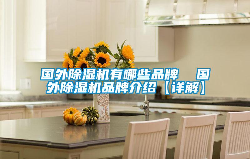 國外除濕機有哪些品牌  國外除濕機品牌介紹【詳解】