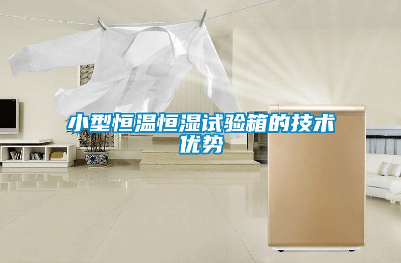 小型恒溫恒濕試驗箱的技術優(yōu)勢