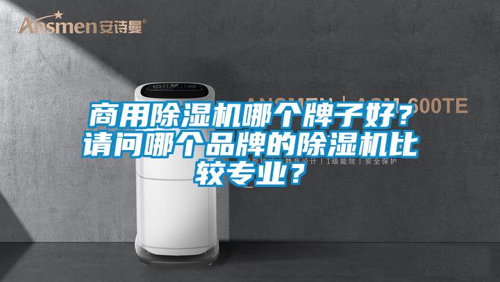 商用除濕機哪個牌子好?請問哪個品牌的除濕機比較專業?