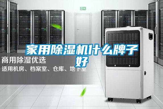 家用除濕機什么牌子好