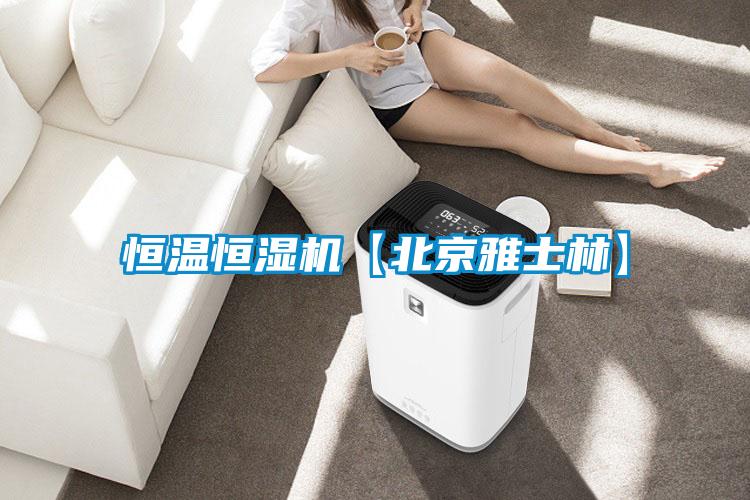 恒溫恒濕機【北京雅士林】