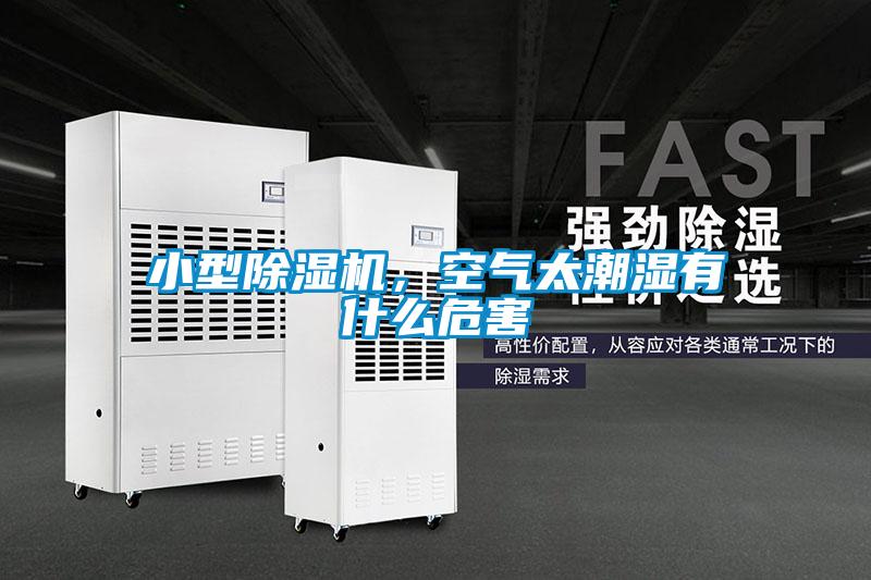 小型除濕機(jī)，空氣太潮濕有什么危害